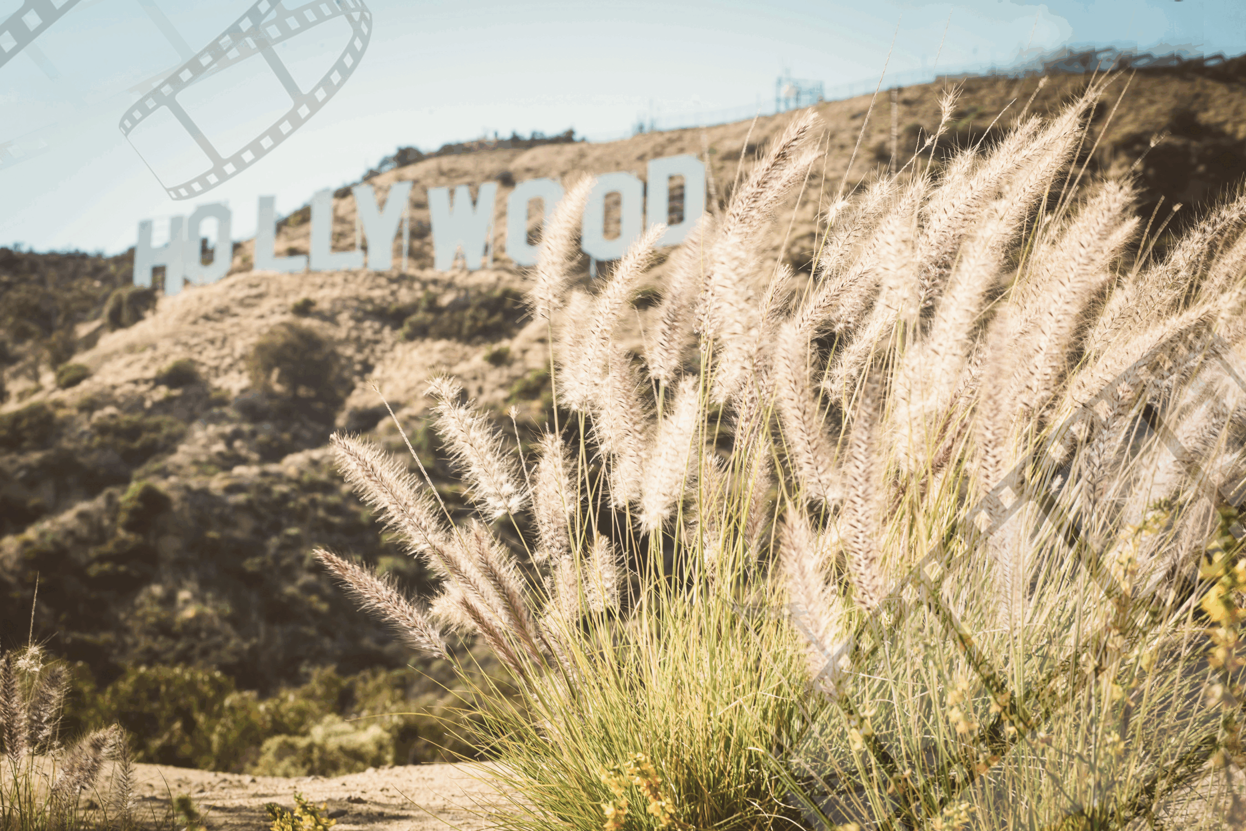 Photo of the Hollywood sign in the mountains