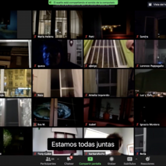 Screenshot of a Zoom meting with many attendees showing a window