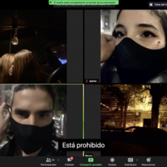 Zoom meeting with the caption"esta prohibido"